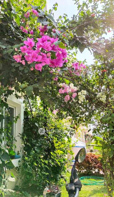 3 BHK Villa In Metropolis Fair Oaks For Sale  In Sarjapur