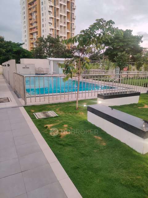 2 BHK Flat In Gera Adara for Rent  In Hinjewadi