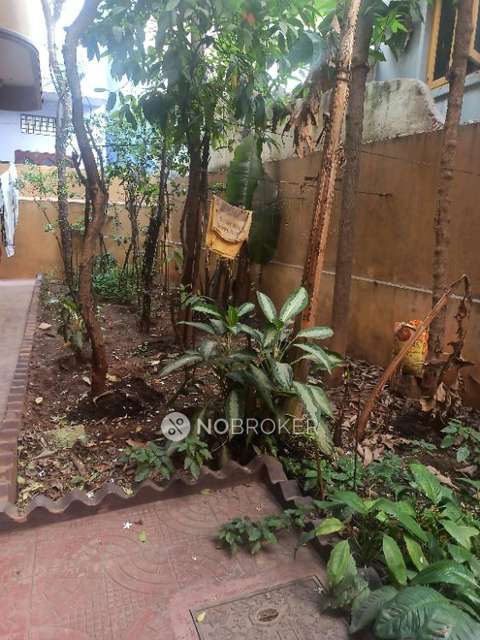 2 BHK House for Rent  In Narayanguda,3-5-267,