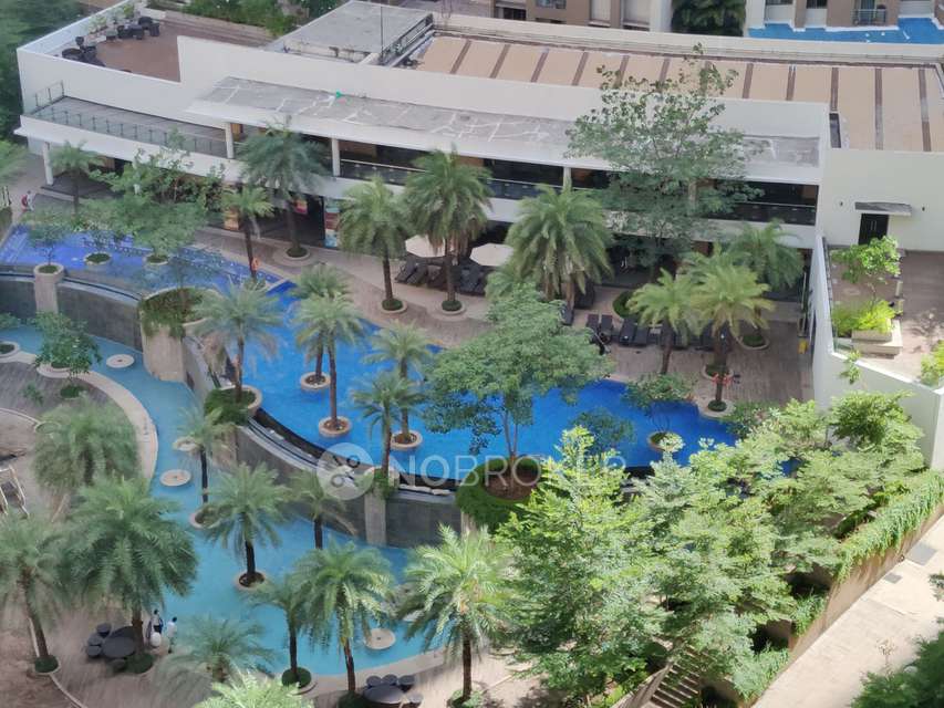 3 BHK Flat In Lodha Splendora Platino E To G Vivant A To D For Sale  In Thane West 