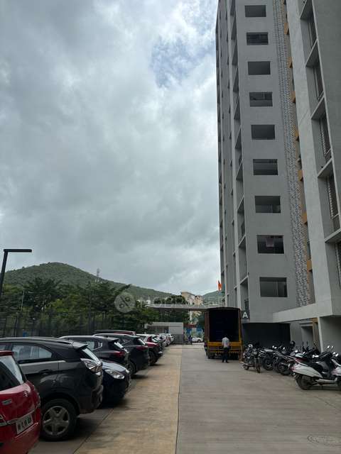 2 BHK Flat In Rama Fusion Towers for Rent  In Hinjawadi