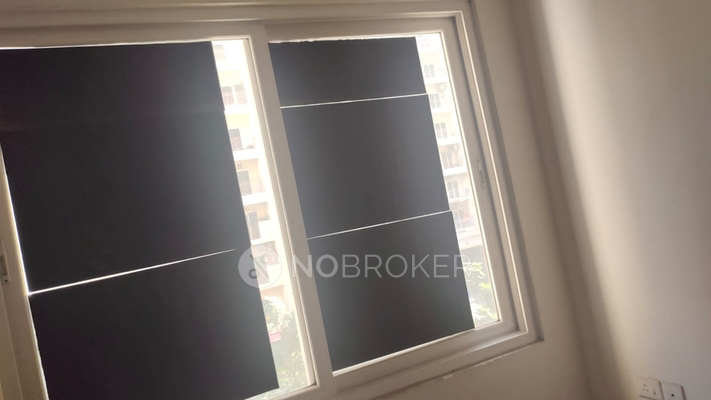 2 BHK Flat In Aditya Urban Casa for Rent  In Sector-78