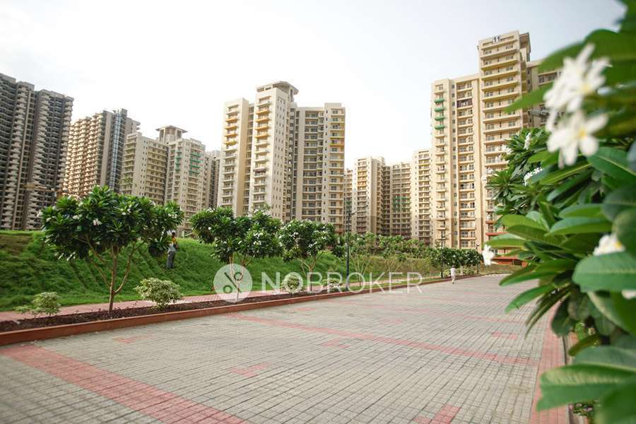 3 BHK Flat In Palm Olympia for Rent  In Palm Olympia