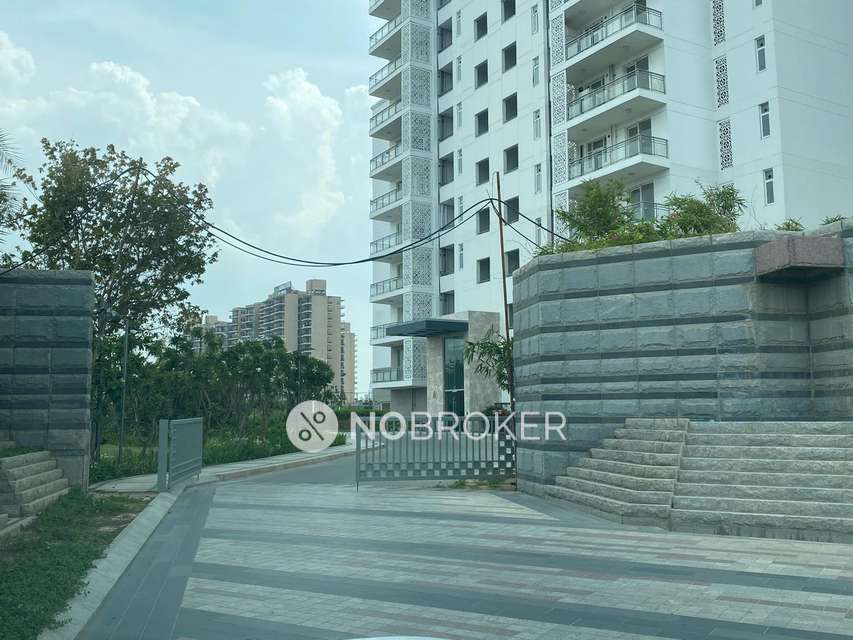 3 BHK Flat In The Ultima Dlf For Sale  In Sector 81