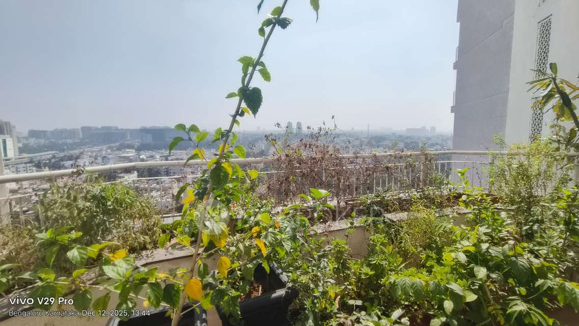 4 BHK Flat In L&t Raintree Boulevard For Sale  In Hebbal