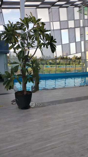 2 BHK Flat In Majestique Nest for Rent  In Phursungi