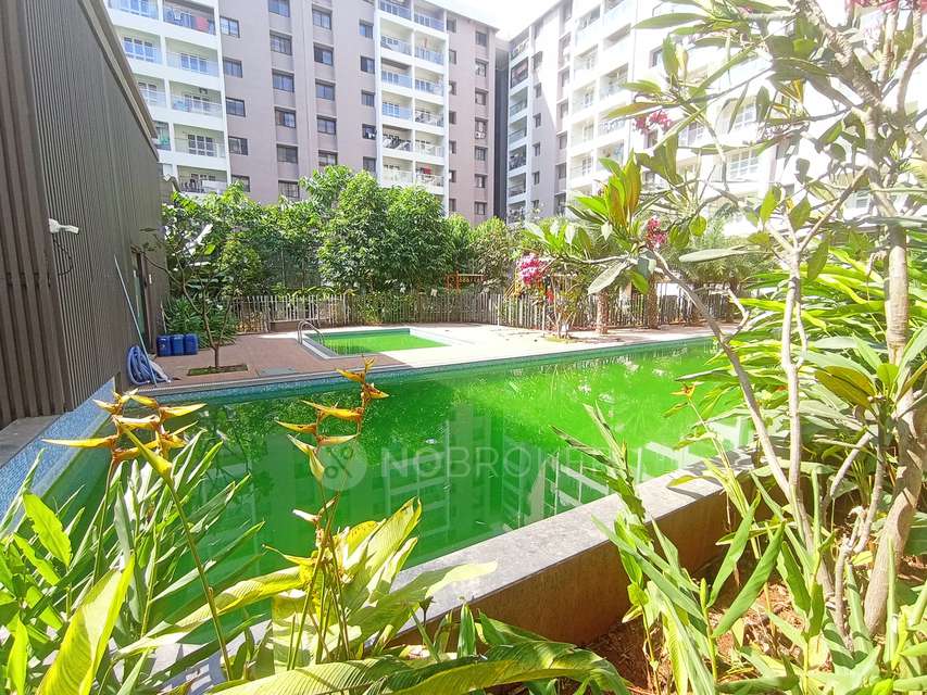 3 BHK Flat In Kohinoor Viva City for Rent  In Dhanori