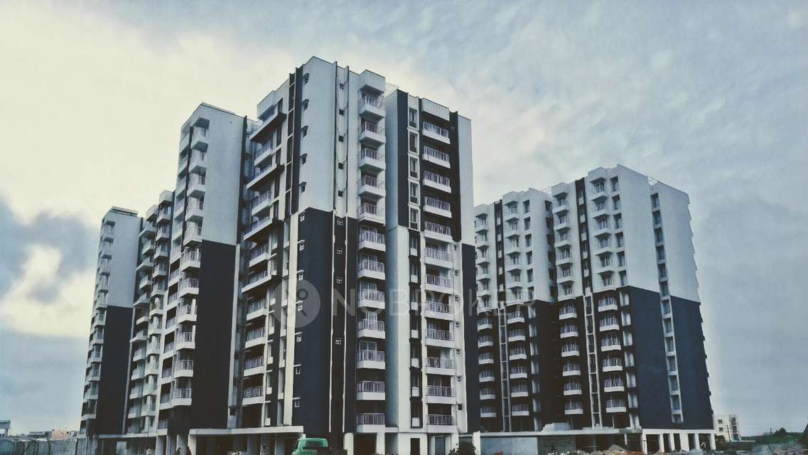 3 BHK Flat In Tg Ascent for Rent  In Rayasandra