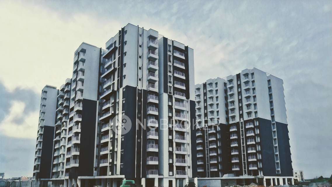 3 BHK Flat In Tg Ascent for Rent  In Rayasandra