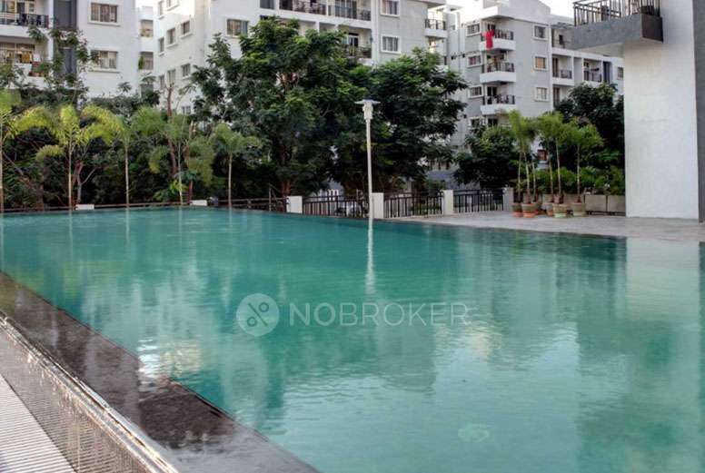 3 BHK Flat In Kolla Luxor Heights For Sale  In Pjr Layout
