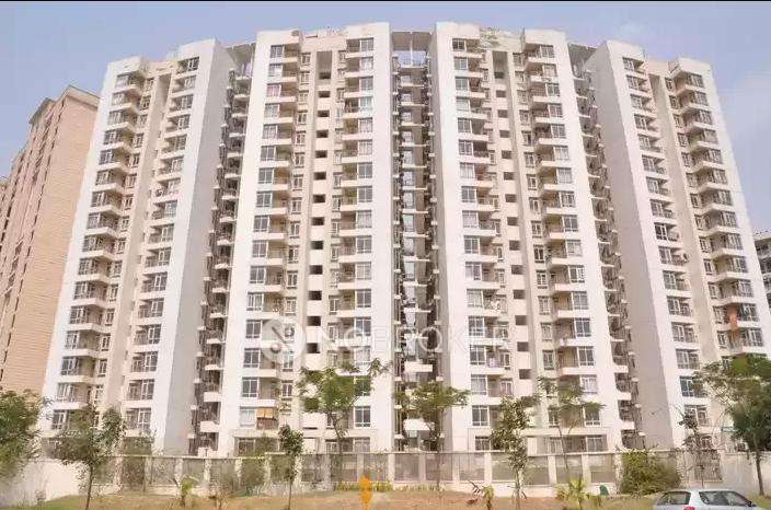 1 BHK Flat In Jaypee Greens Pavilion Heights For Sale  In Sector 128