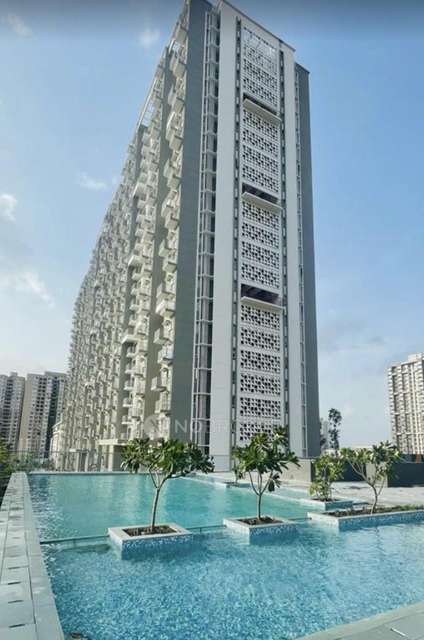 Single Room for Male In 2 BHK  In Hillside 2, Pune In Mahalunge