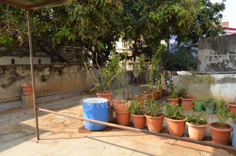 4+ BHK House For Sale  In Vittalwadi, Narayanguda