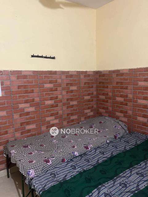 PG for Anyone in Police Chowki Sector 16