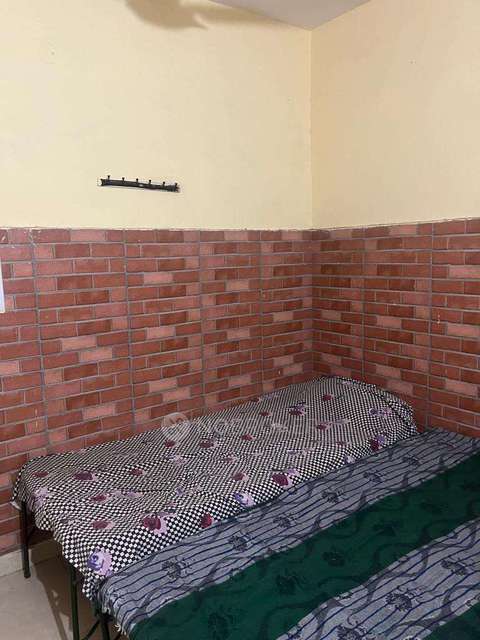 PG for Anyone in Police Chowki Sector 16