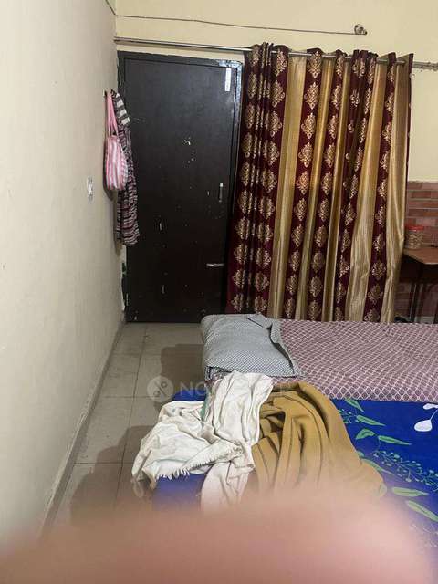 PG for Anyone in Police Chowki Sector 16