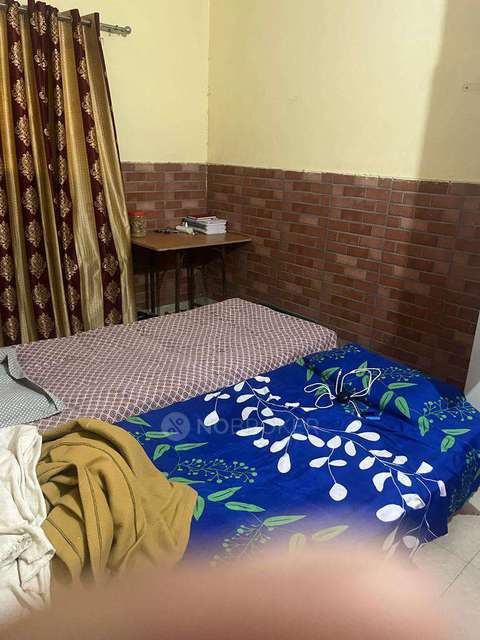 PG for Anyone in Police Chowki Sector 16