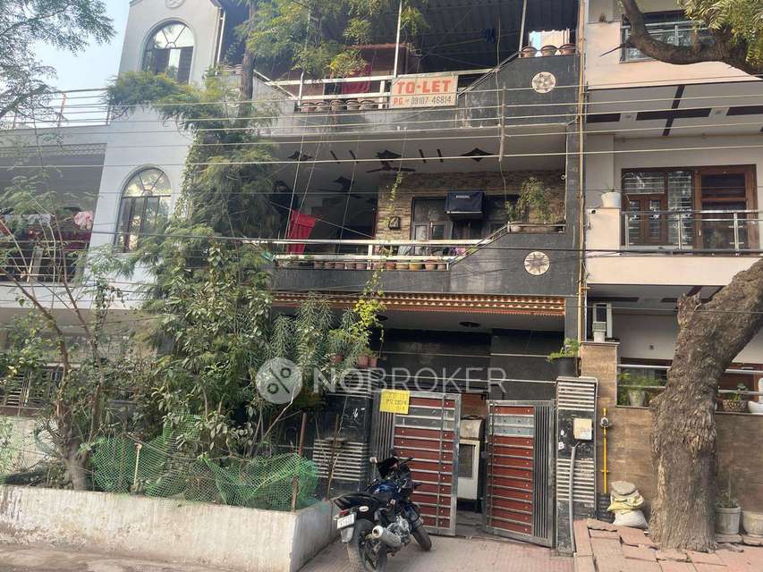 PG for Anyone in Police Chowki Sector 16