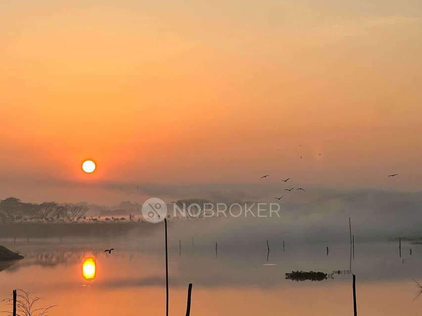 3 BHK Flat In Pride Pristine For Sale  In Electronics City