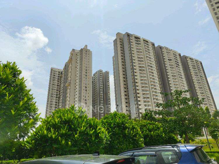 3 BHK Flat In Prestige City Avalon Park for Rent  In Sarjapur