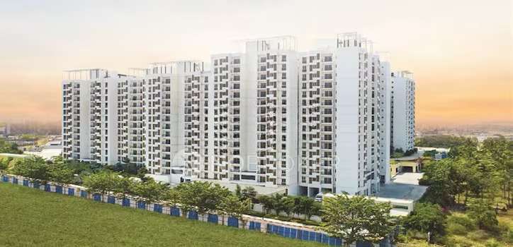 2 BHK Flat In Tata New Haven Bangalore for Rent  In Dasanapura, Karnataka, India