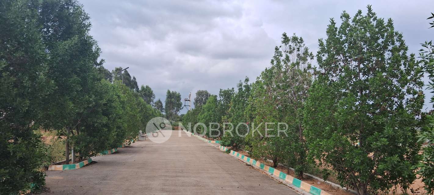 Plot For Sale  In Krishnarajapura
