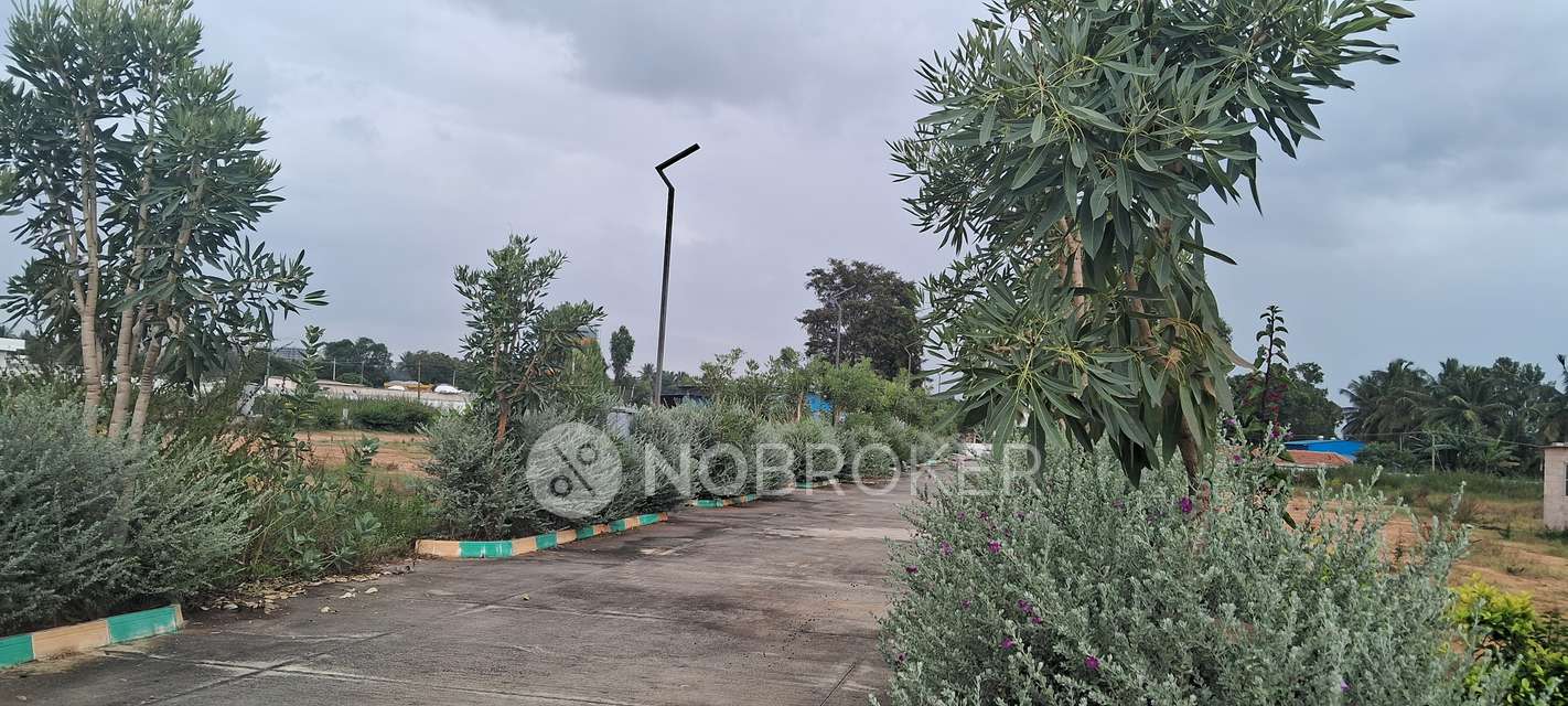 Plot For Sale  In Krishnarajapura