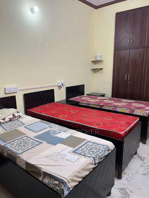 PG for Girls in Sector 20