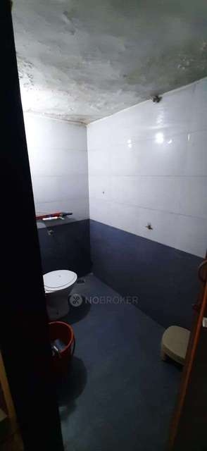 Shared Room for Female In 1 BHK  In Kothrud