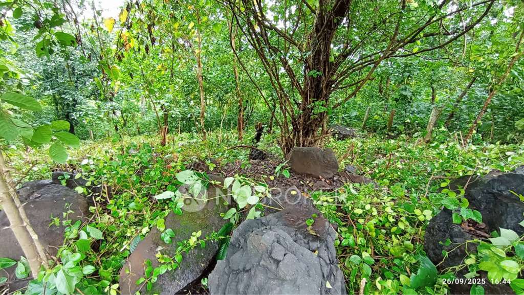 Plot For Sale  In Our Township  In Khardi Road