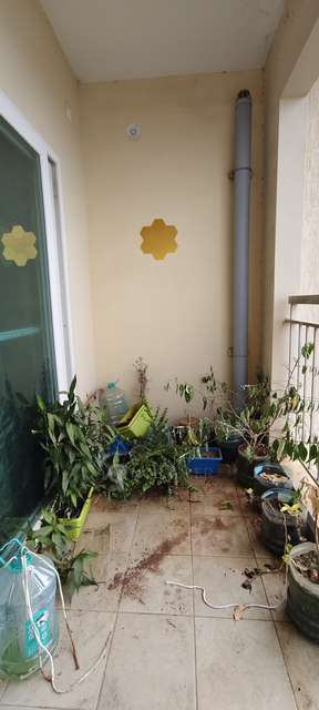 2 BHK Flat In Brigade Buena Vista For Sale  In Budigere Cross