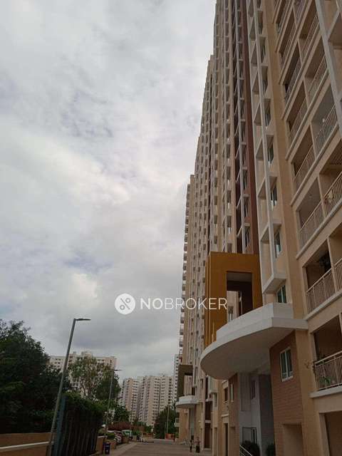 2 BHK Flat In Brigade Buena Vista For Sale  In Budigere Cross