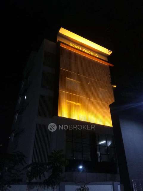 1 BHK Flat In Royal Orchid Society  For Sale  In Ambegaon Bk