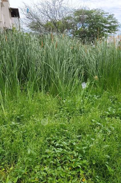 Plot For Sale  In Sakthi Nagar