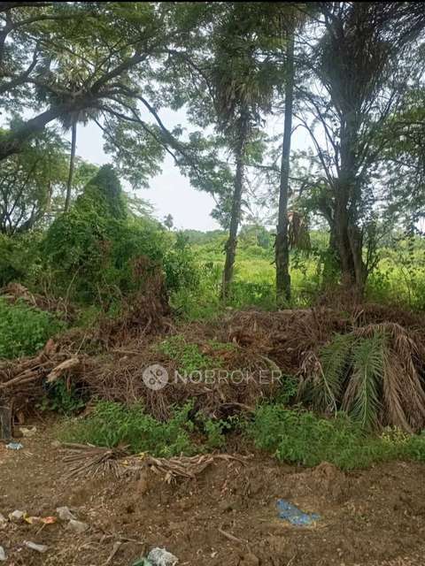 Plot For Sale  In Kalluru Nilayam Near Government School Ibrahim Bagh