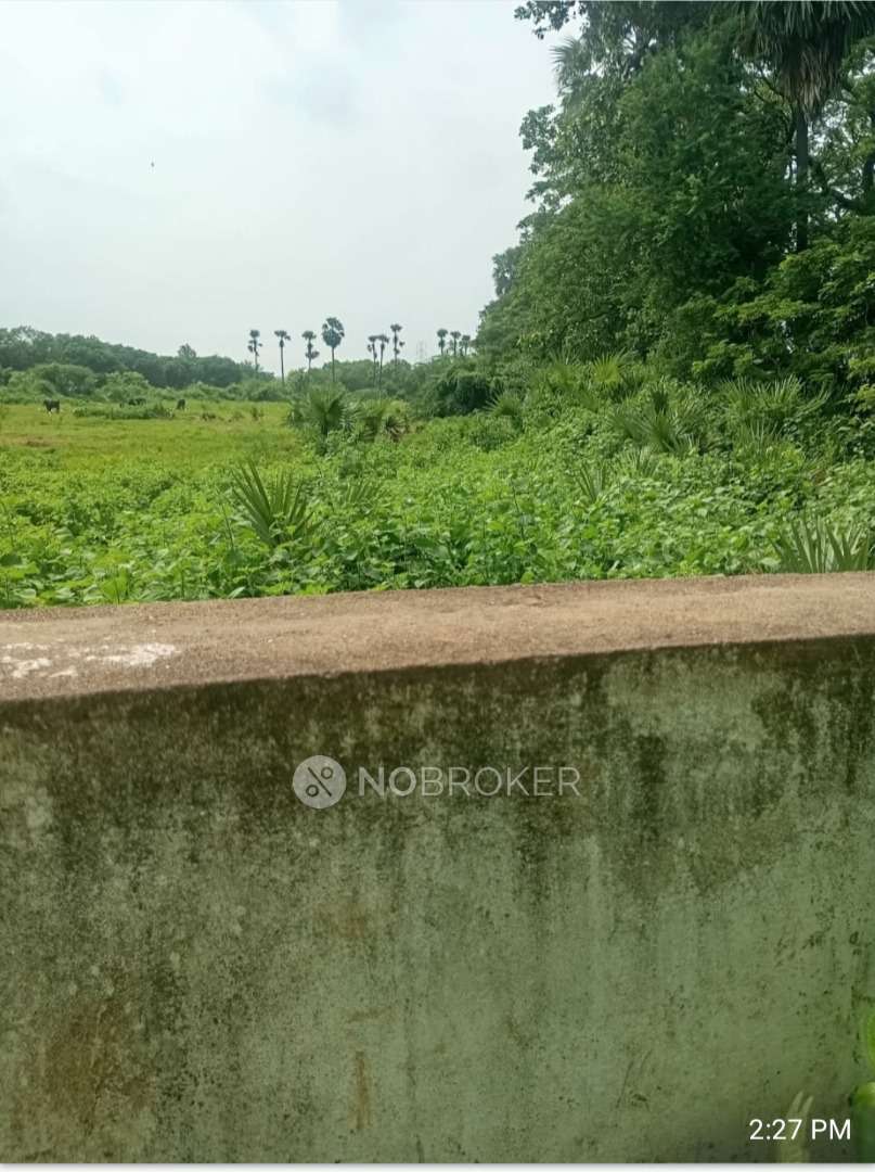 Plot For Sale  In Kalluru Nilayam Near Government School Ibrahim Bagh