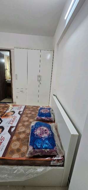 2 BHK Flat In Kohinoor Coral for Rent  In Hinjewadi Phase 3