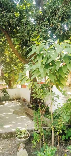 1 BHK House for Rent  In Tingre Nagar