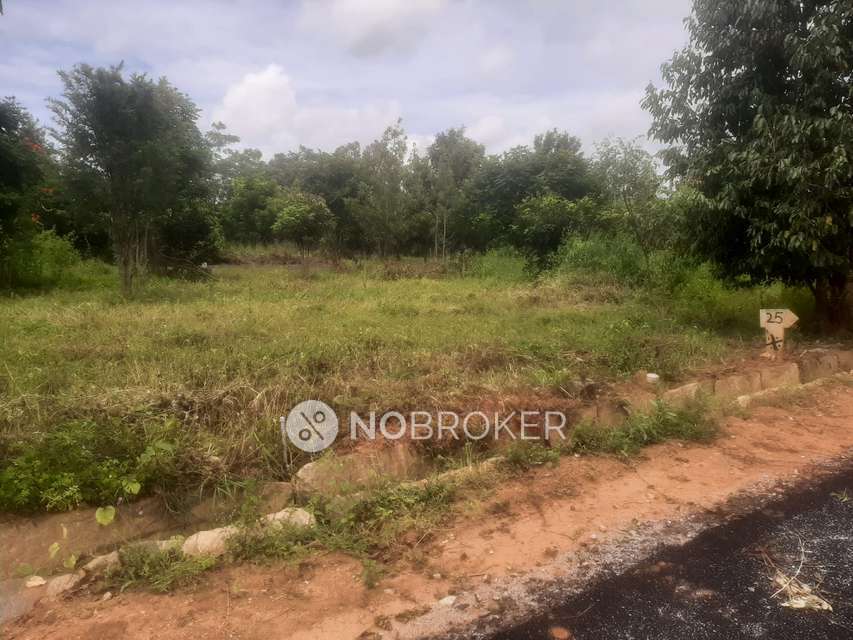 Plot For Sale  In Doddaballapura