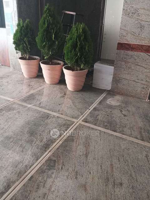 PG for Anyone in Nagavara