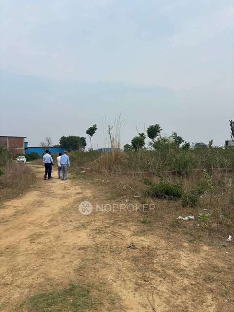 Plot For Sale  In Dairy Maccha
