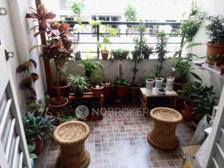 1 BHK Flat In Shree Anand Royal Castle For Sale  In Thergaon