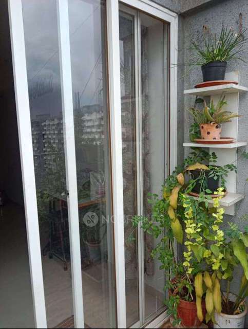 2 BHK Flat In Sai Velocity Phase 1 for Rent  In Marigold