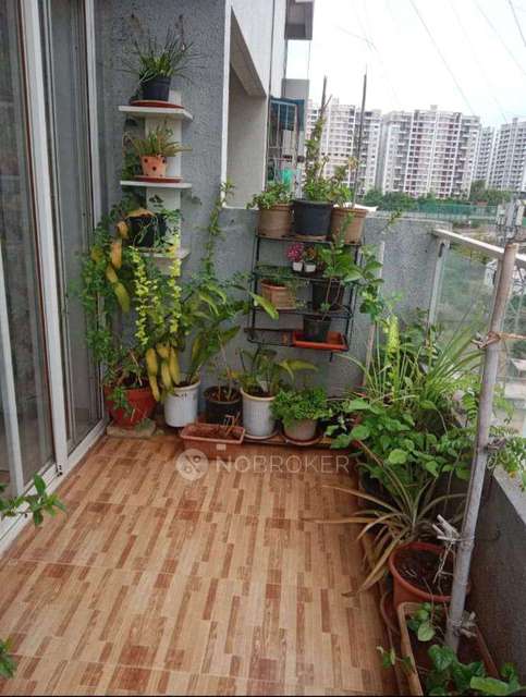 2 BHK Flat In Sai Velocity Phase 1 for Rent  In Marigold