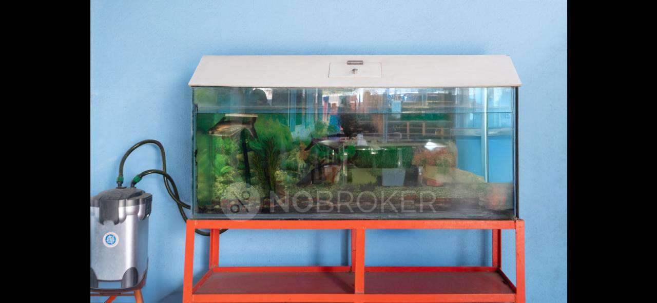 PG for Girls in Sholinganallur 