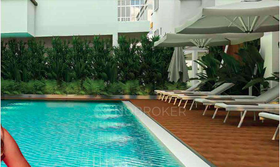 3 BHK Flat In Dc Capitol For Sale  In Panathur