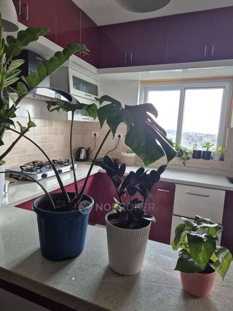 2 BHK Flat In G R Heights For Sale  In J. P. Nagar