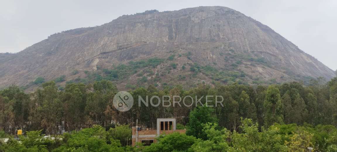 3 BHK House For Sale  In Kempegowda International Airport