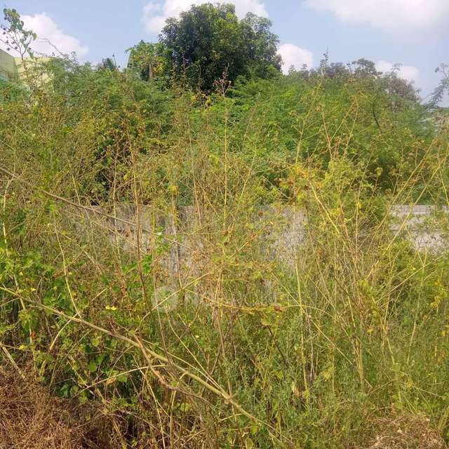 Plot For Sale  In Pon Vilaintha Kalathur