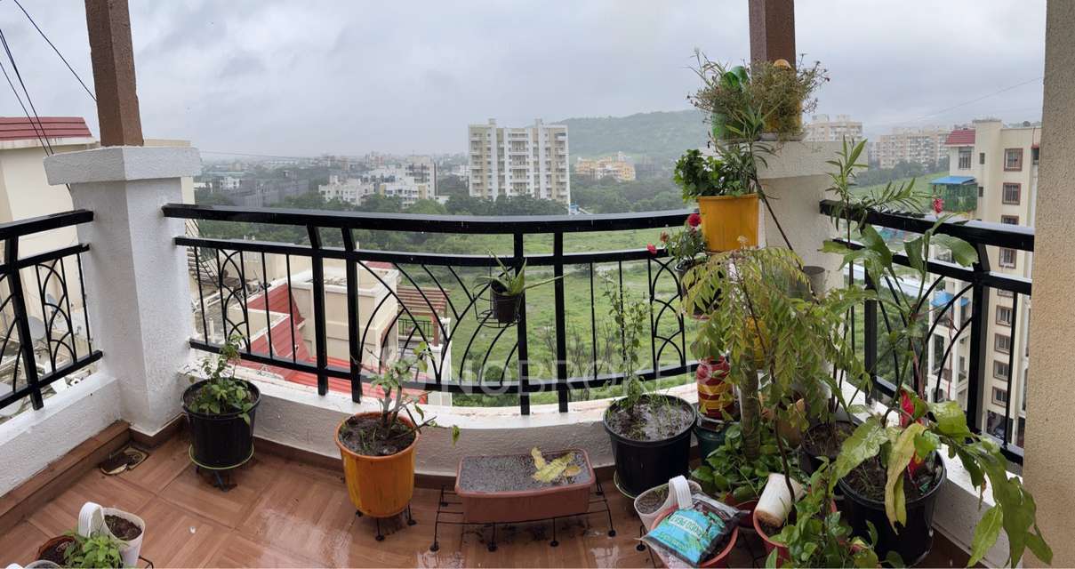 2 BHK Flat In Maple Woodz for Rent  In Wagholi